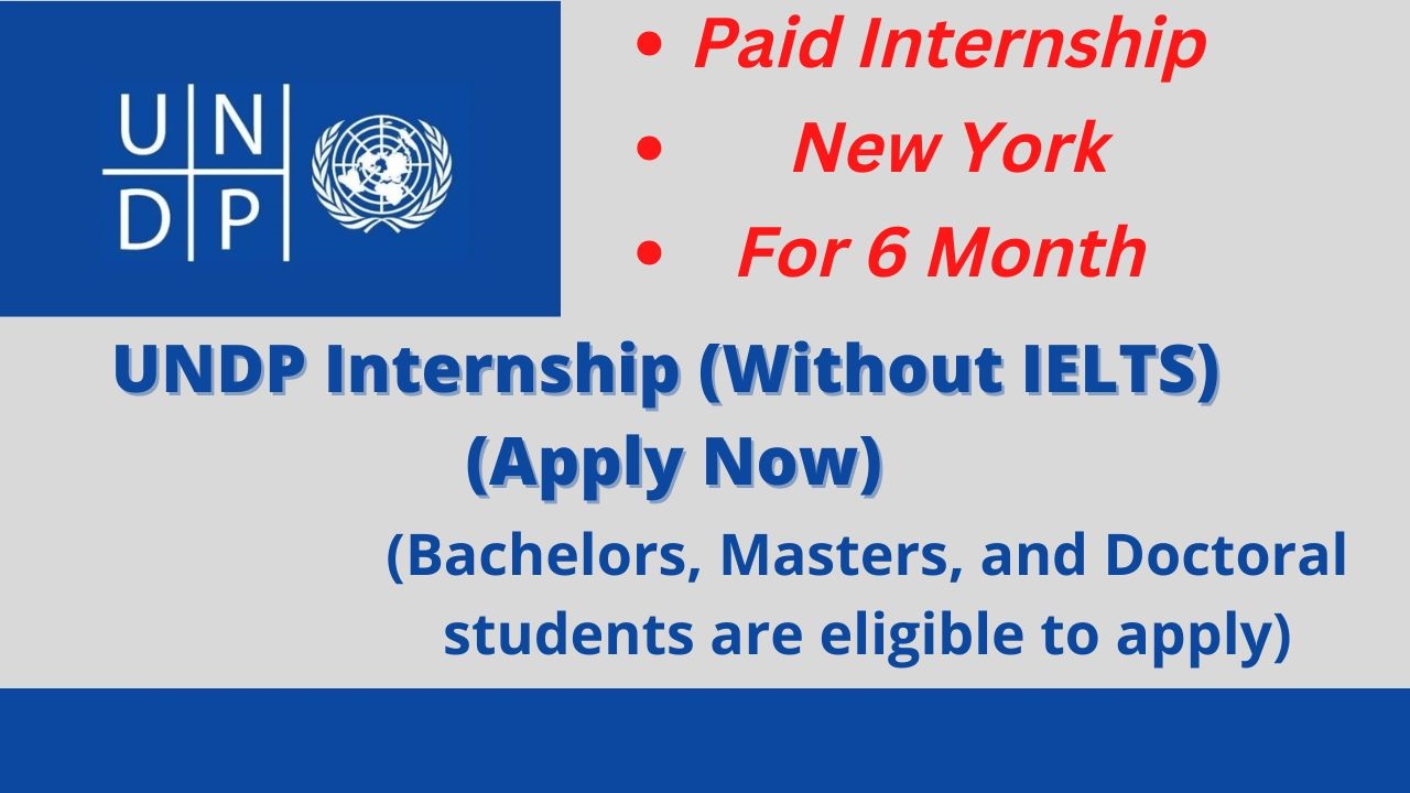 UNDP Internship 2025